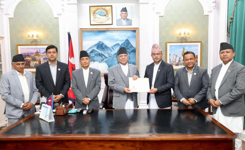 अन्ततः रबि लामिछानेमाथी बन्यो संसदीय छानबिन समिति