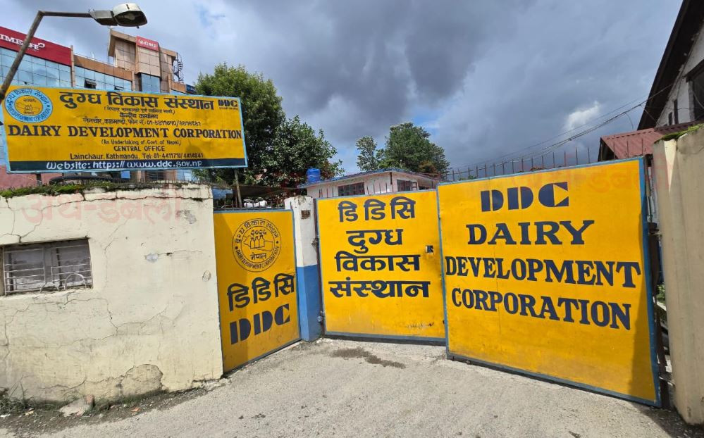 अतिरिक्त खर्च कटौती र आक्रामक बजारीकरण : नाफाको बाटोमा जाँदैछ डिडिसी ?